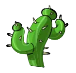 Kaktus